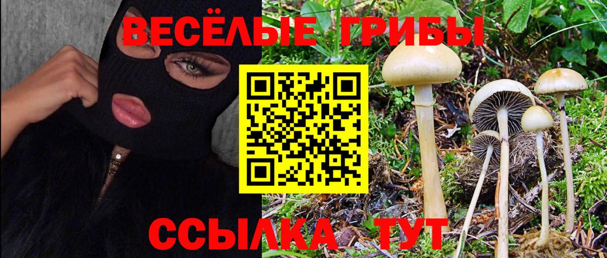 Псилоцибиновые грибы ЛСД  Вход с VPN  Свободный 