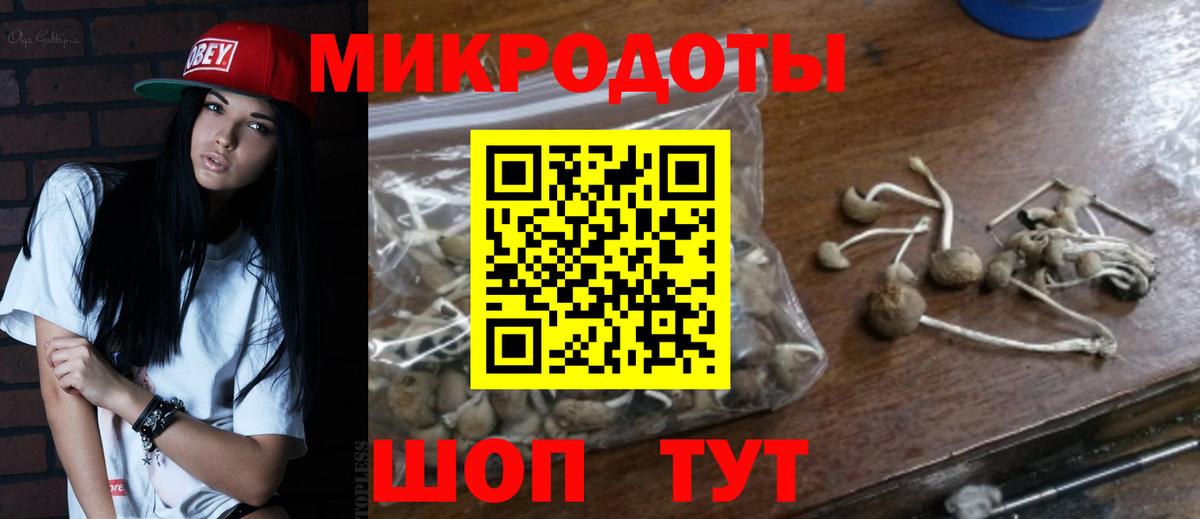 Галлюциногенные грибы MAGIC MUSHROOMS Свободный